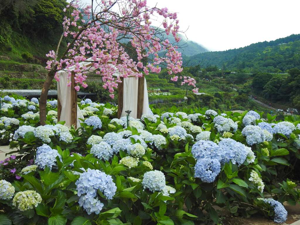 大梯田IG