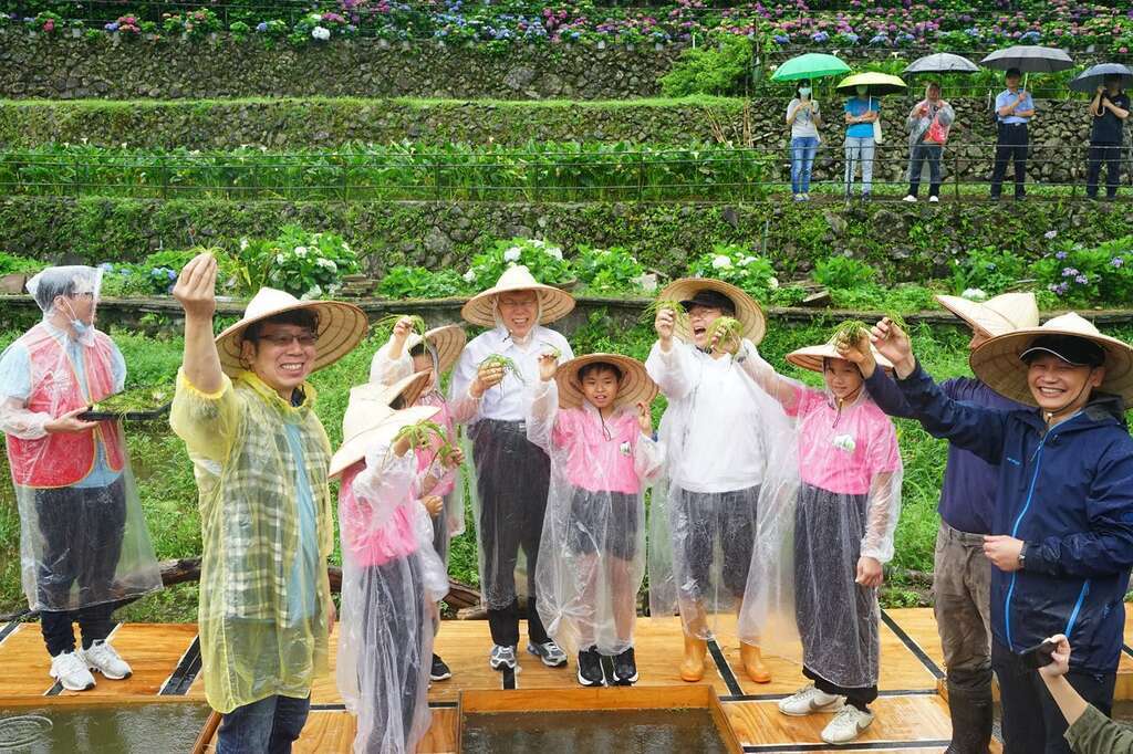 Conservation of Taiwan Quillwort Successful at Zhuzihu