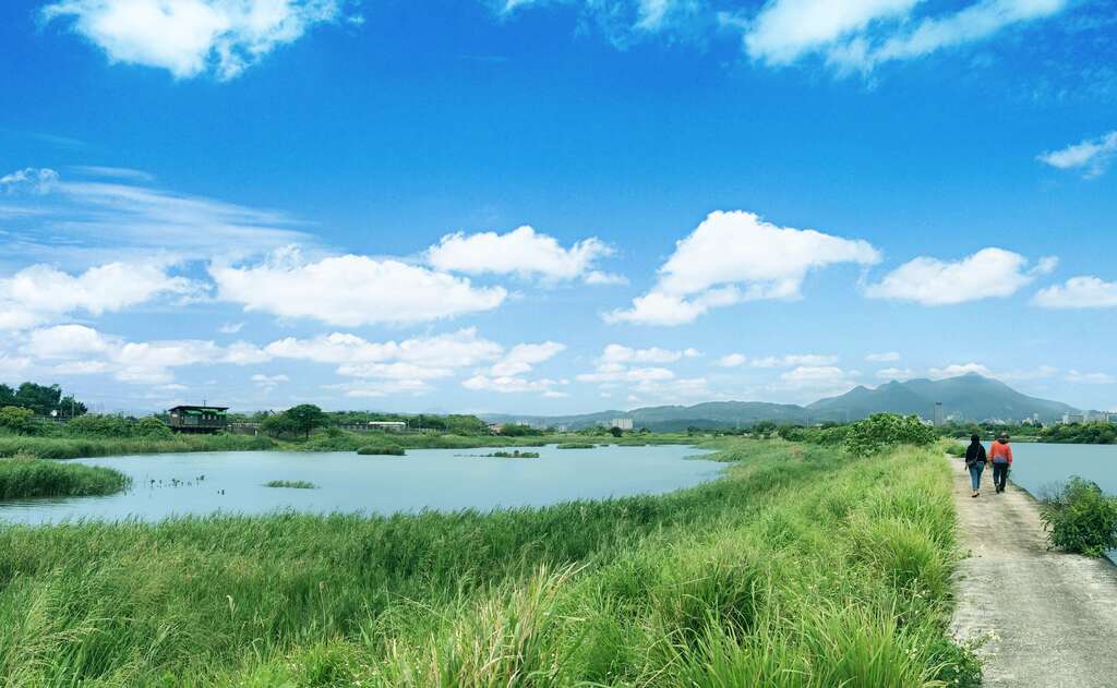 水利处呼吁大家共同维护、守护台北市难得可贵的湿地生态