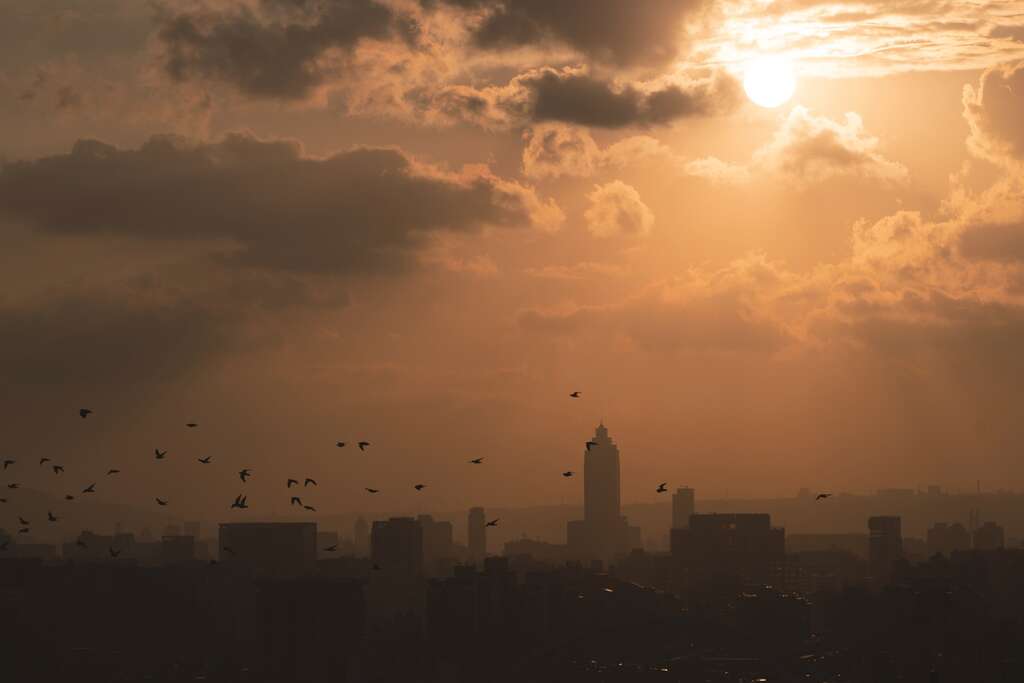 DSC09805 - 复制