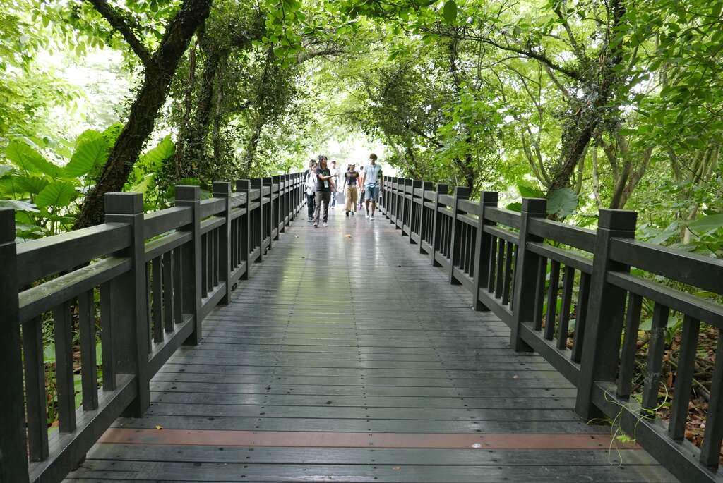 關渡自然公園區內木棧橋