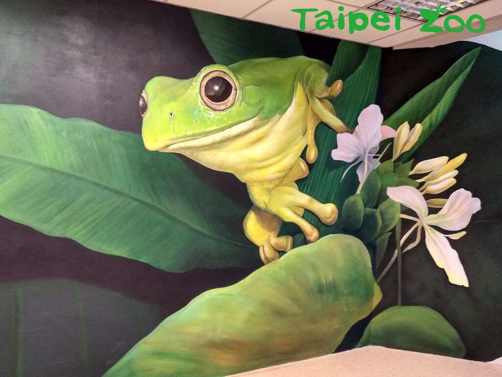 路过巨幅台北树蛙壁画，记得要拍照留念唷！
