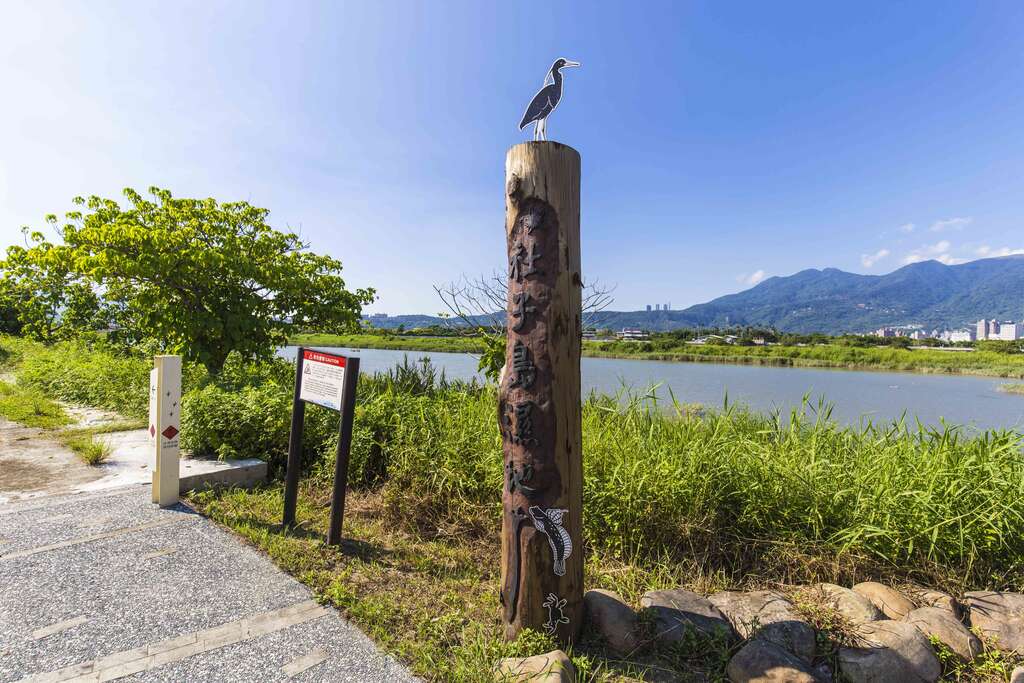 想多了解湿地生态、亲近大自然的爸妈们，赶快上网报名来社子岛湿地周末亲子同欢