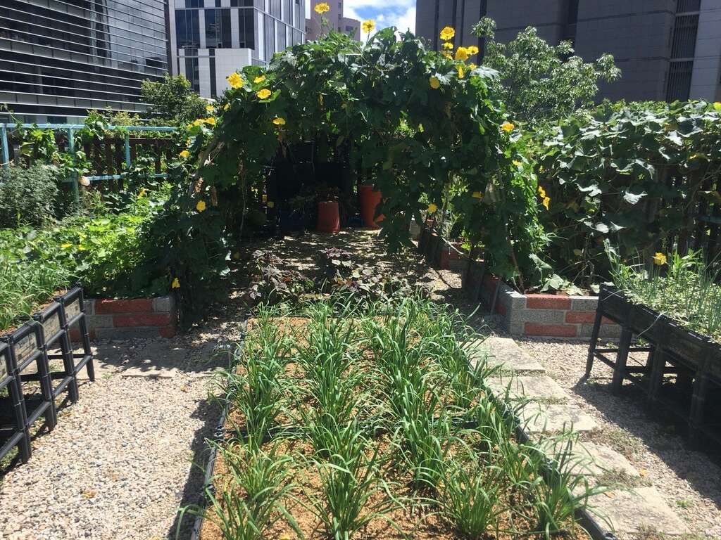 德行里園圃一景
