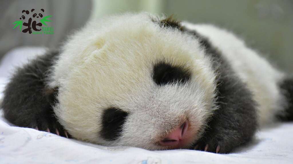 好困啊！即使健康检查要翻来翻去，我照睡无误！