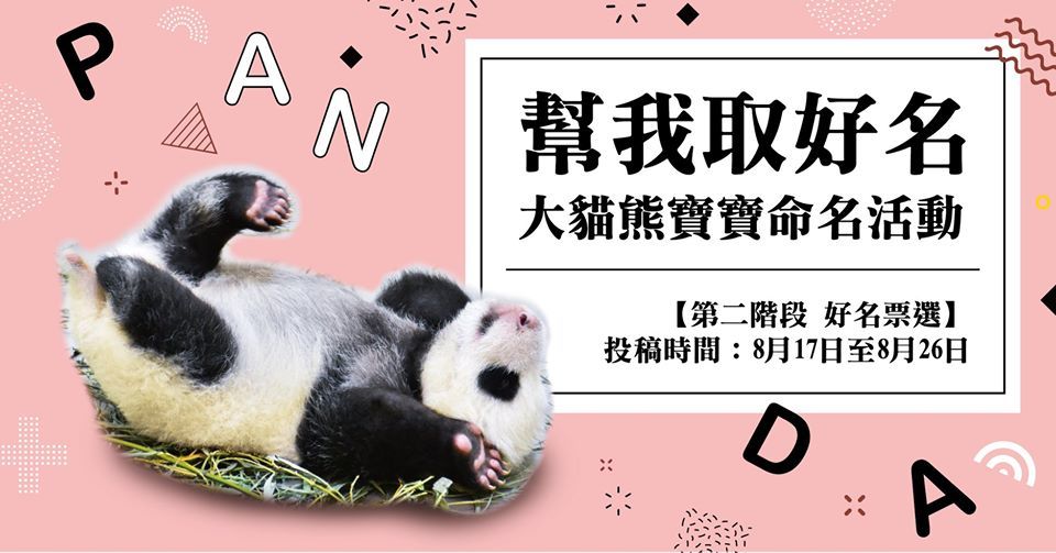 二寶名投票