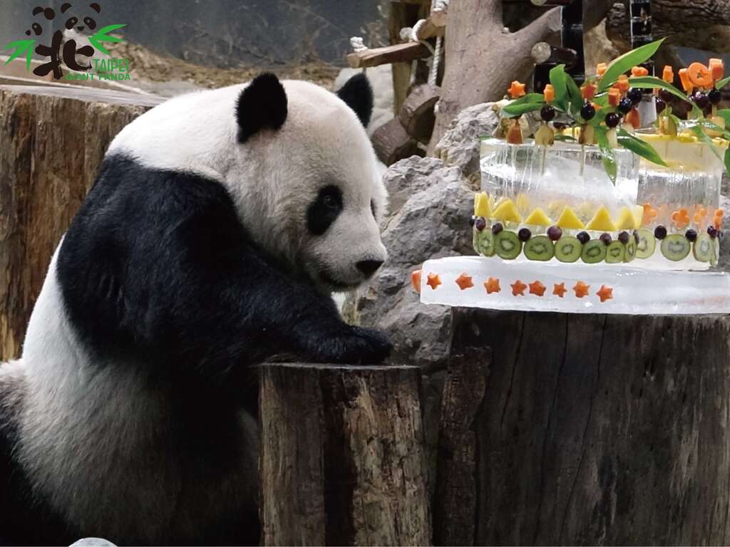 团圆16岁生日庆祝活动
