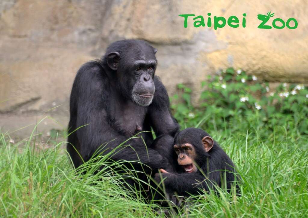 動物園
