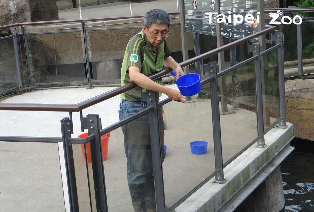 對專業的保育員來說，魚隻混養是一大難題