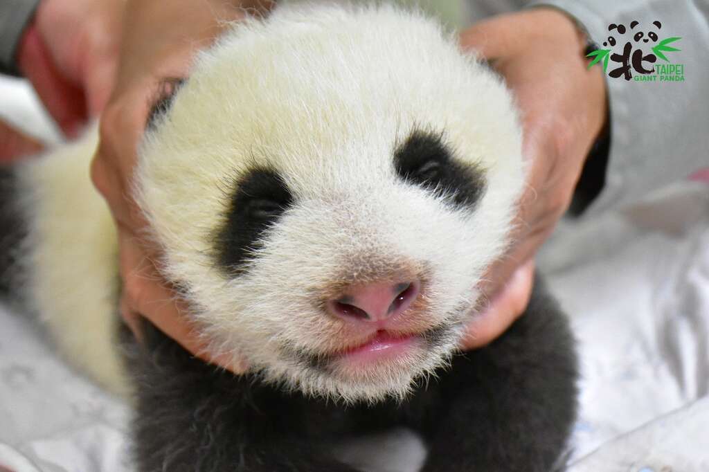 颈、腋窝等处的淋巴触诊（8月13日）