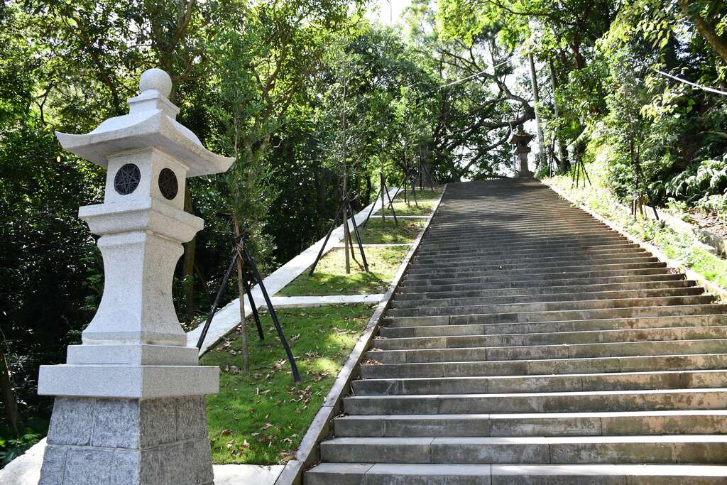 复育竹柏康庄大道
