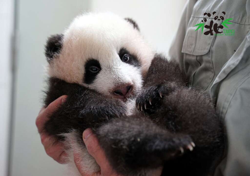 哦哦！偷跑被发现了~