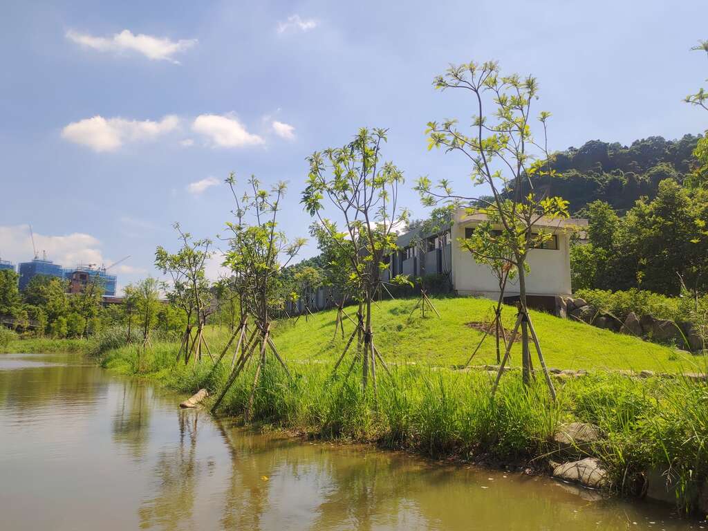 永春陂湿地公园-木屑维管步道