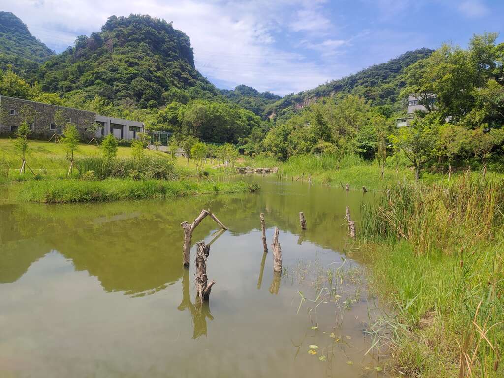 永春陂湿地公园依山傍水美景-湿地景