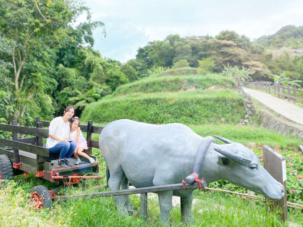 樟树步道水牛车，充满农村意象适合拍照留念。