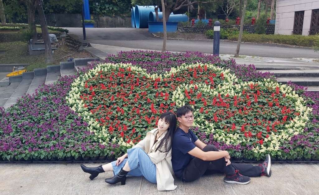 爱恋秋花