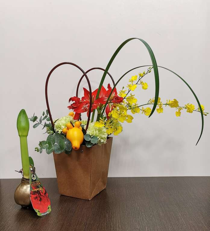 孤挺花照片