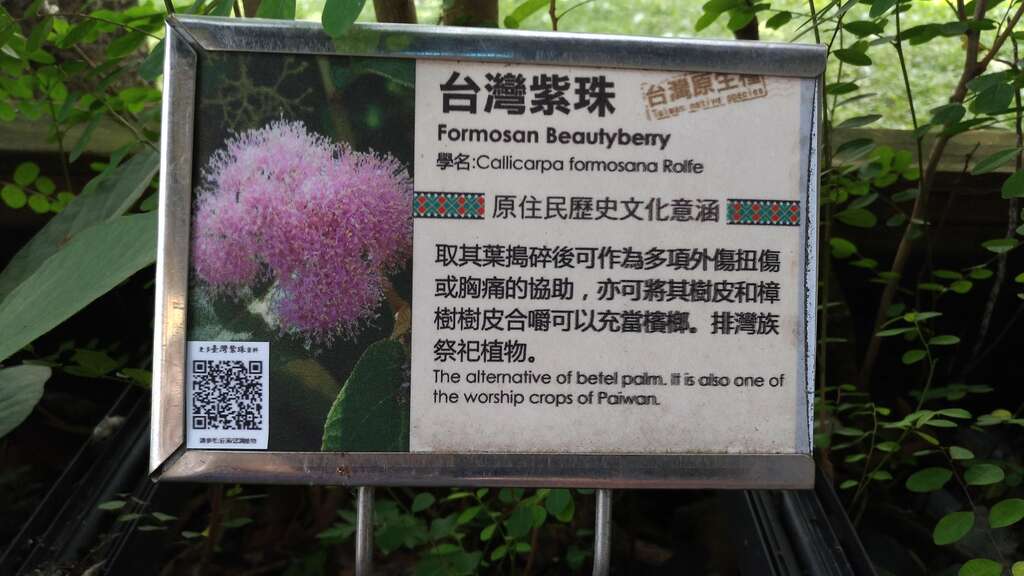 原民风味馆原住民传统植物展示区解说牌皆附有QR-CORD，民众可用手机扫瞄获得更多资讯。