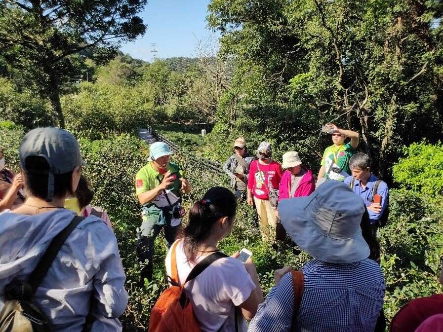 解说茶园虫害问题应对办法