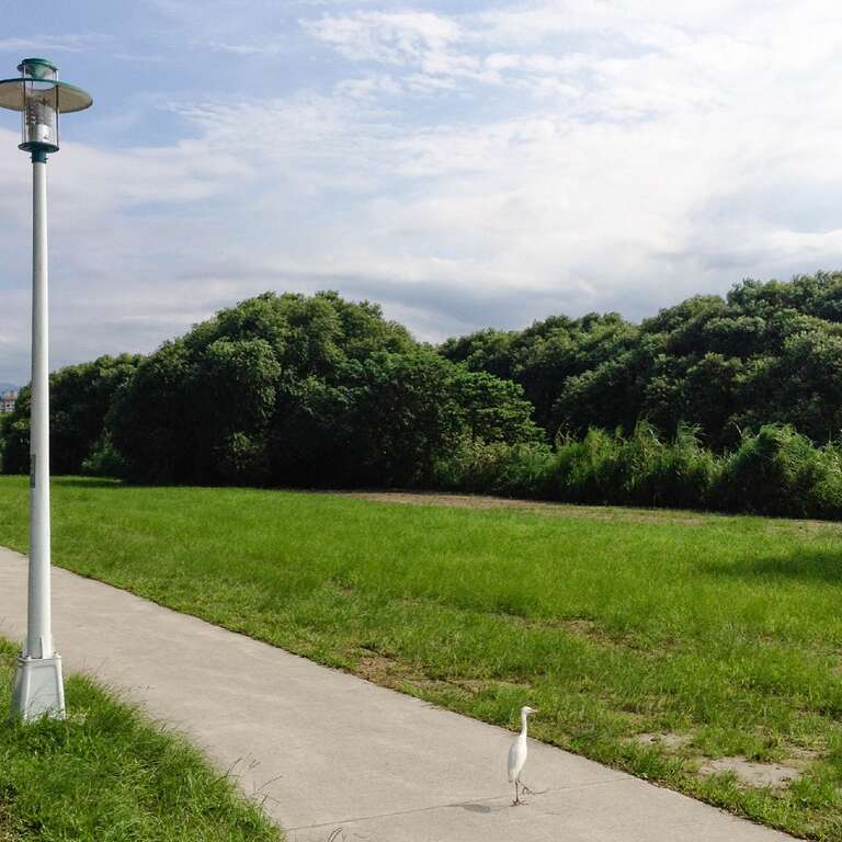 1景美河濱公園 [最大闊度 2400 最大高度 1800]