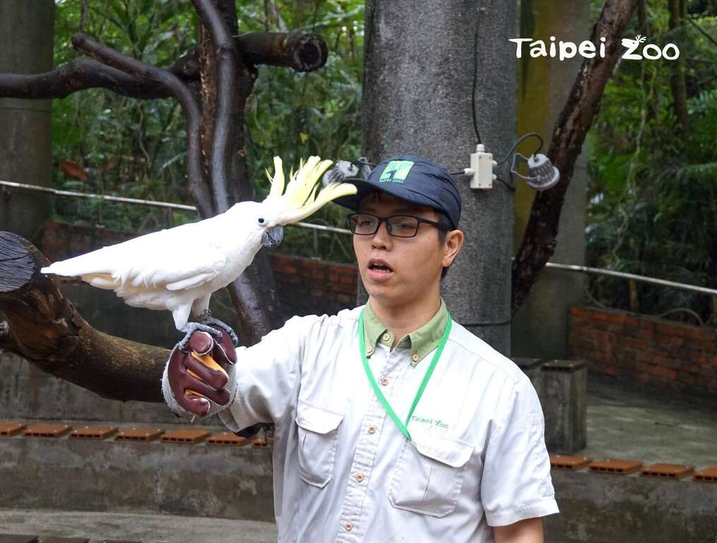 保育员：你说你说，刚刚为什麽不飞给观众看？「Yahoo」：唉呦！我不想弄湿翅膀嘛！