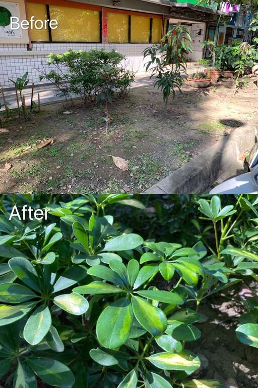 132綠地綠意盎然