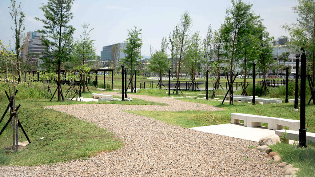 新新公園落雨松水上平台