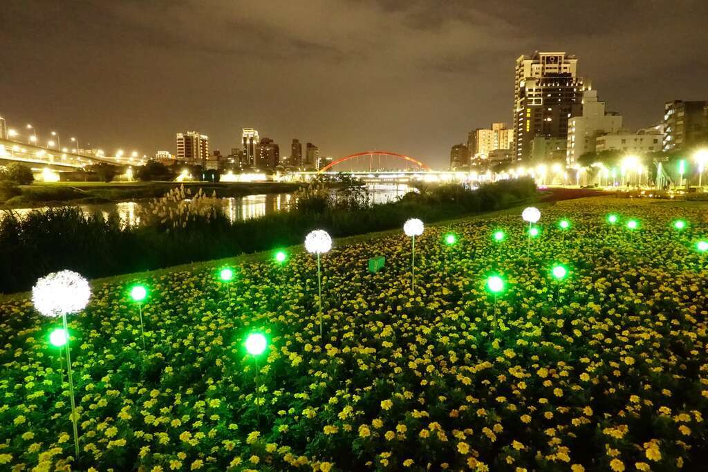 休日はここへ お花畑と夜景を一度に満喫