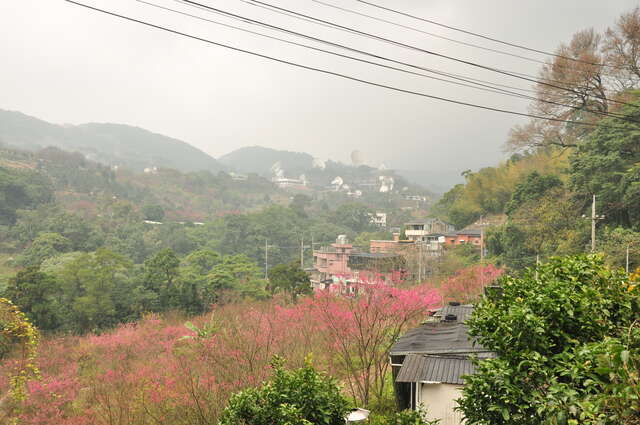 平等里