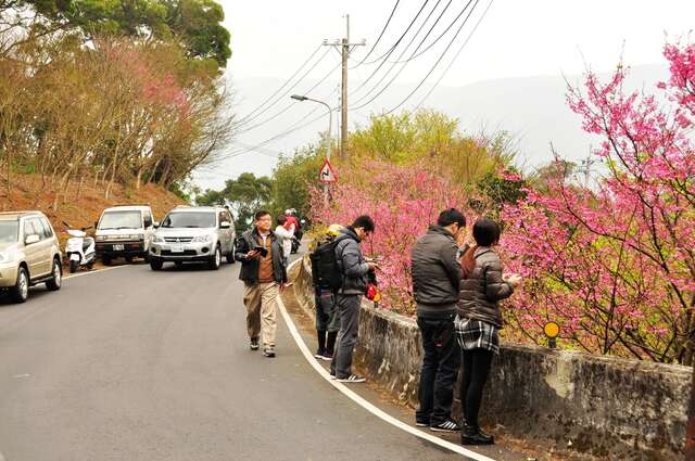平溪产业道路沿线