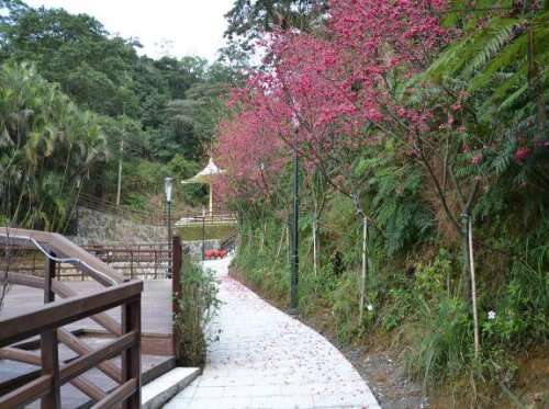 指南宮步道