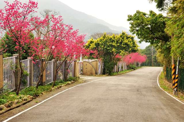 碧溪产业道路沿线