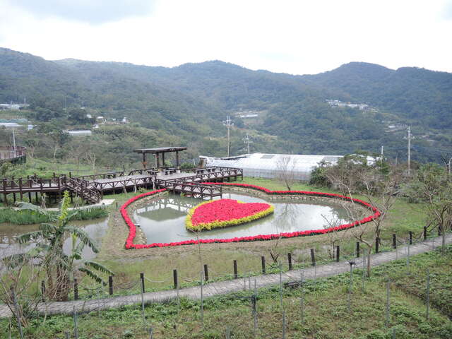 同心池换花模拟图(预计1/30换花完成後更换照片)