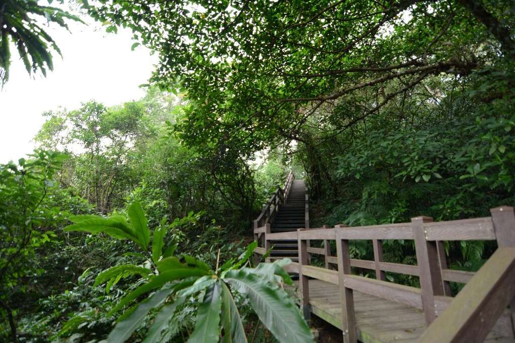 前身是军事弹药库的富阳自然生态公园保留了珍贵的原始生态环境