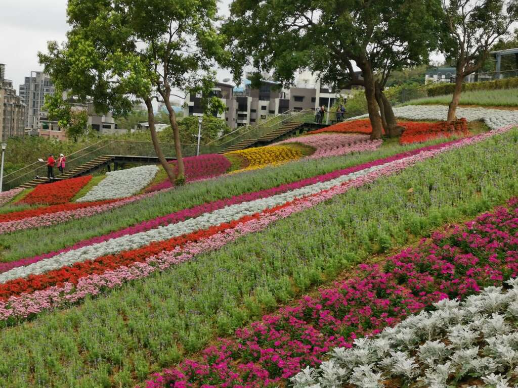 北投社三層崎公園花海
