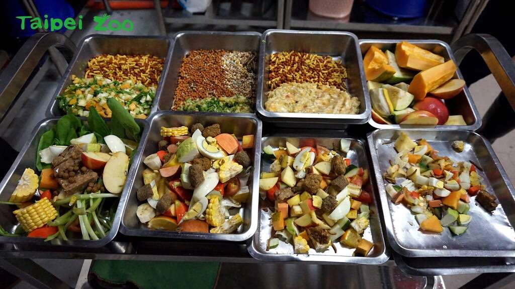動物們在春節期間，依然能享受到兼顧營養均衝和美味的食物