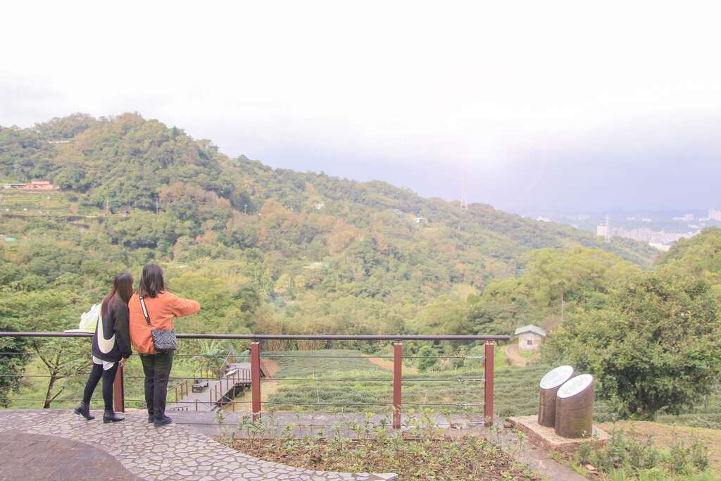 展演廣場俯瞰茶園梯田景致。