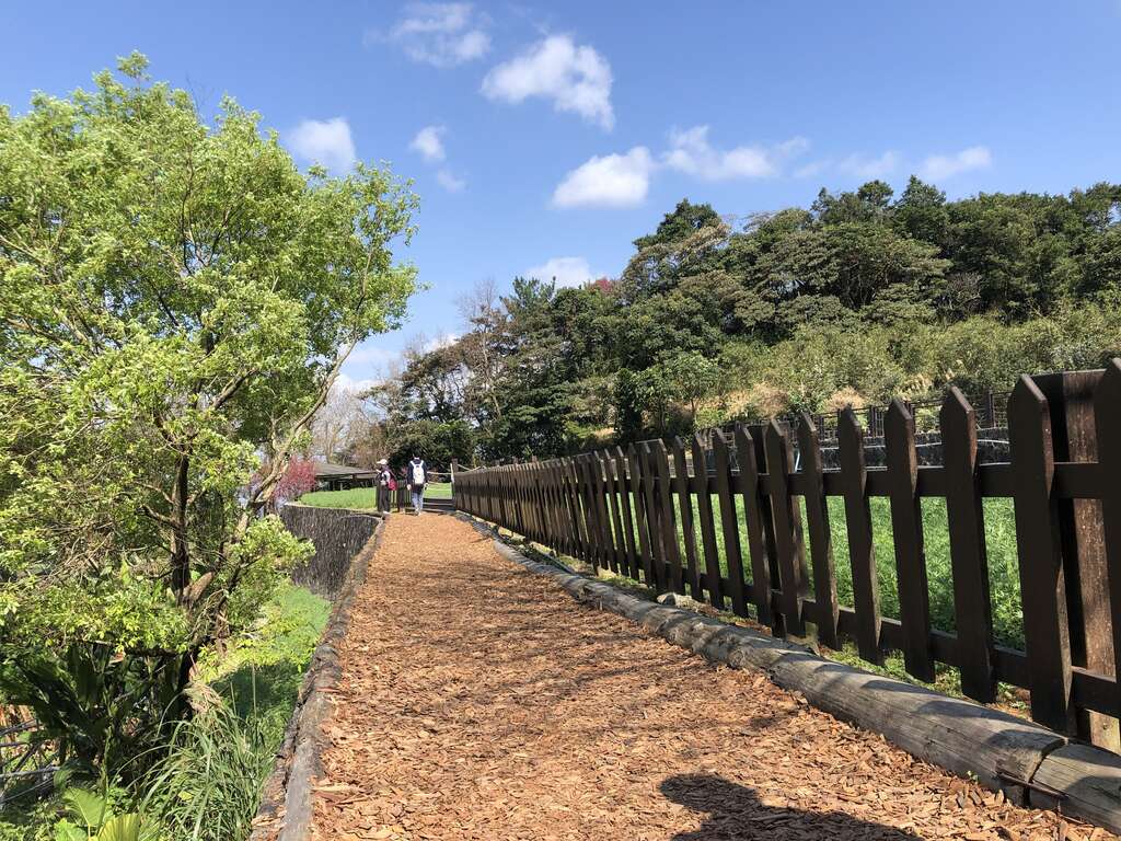舒适的暖色步道