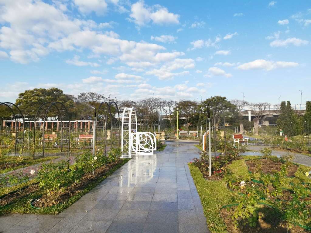 台北玫瑰园景观区一偶