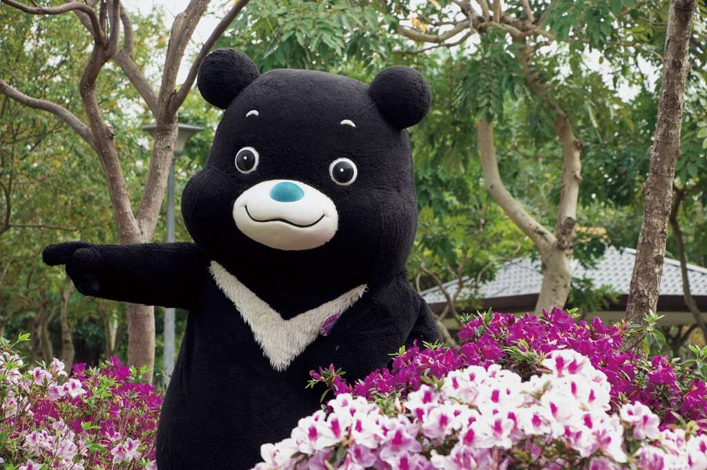 杜鹃花换图