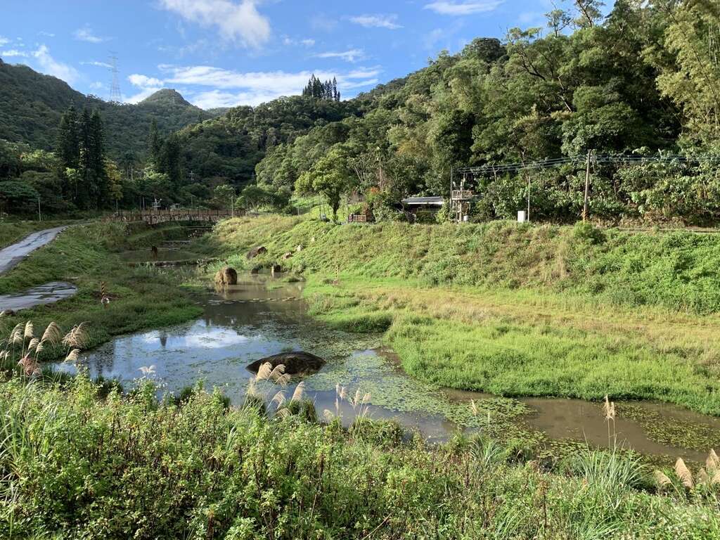 トンボがテーマ 「金瑞治水園区」が内湖に