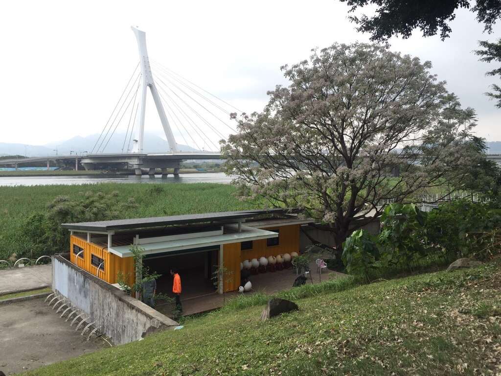洲美环较基地是苦楝树下温馨 小黄屋
