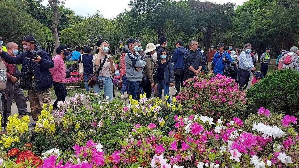 台北杜鹃花季人来人往