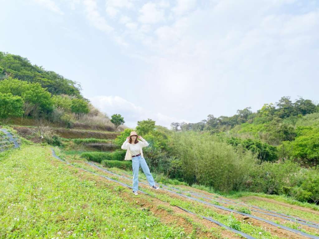 走跳鵝尾山梯田田園環境