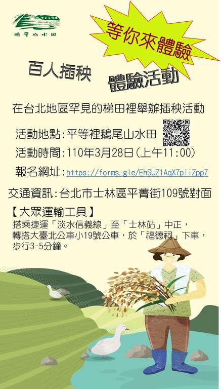 鹅尾山水田－百人插秧体验活动