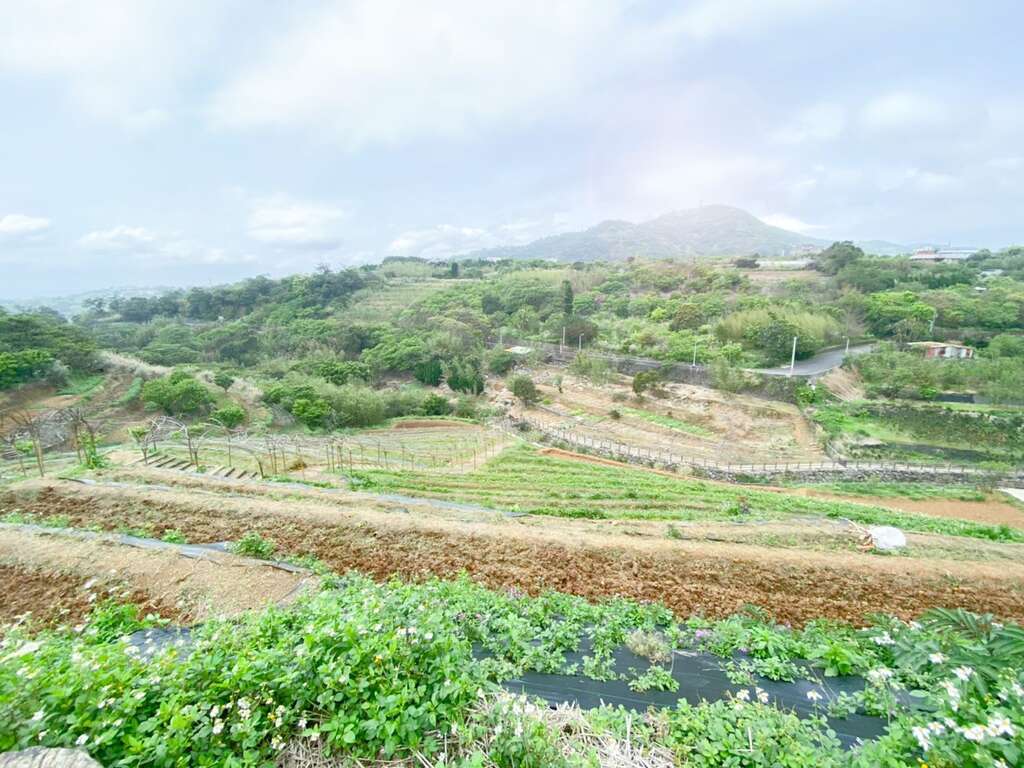遠眺梯田景致