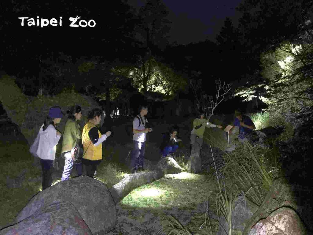 夜晚蛙调意外收获~钩铗晏蜓羽化现踪