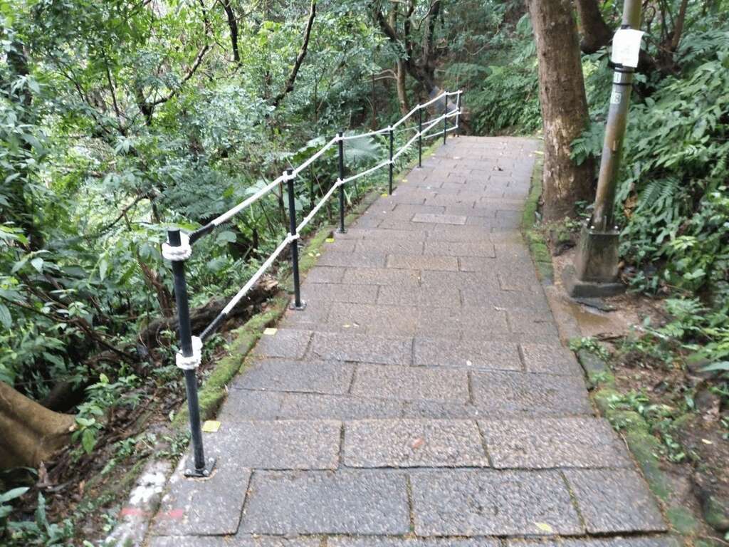 生態區內增設繩索欄杆及地貼反光板