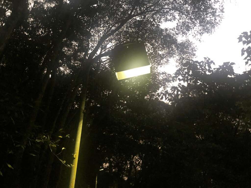 生態區內路燈增設燈罩