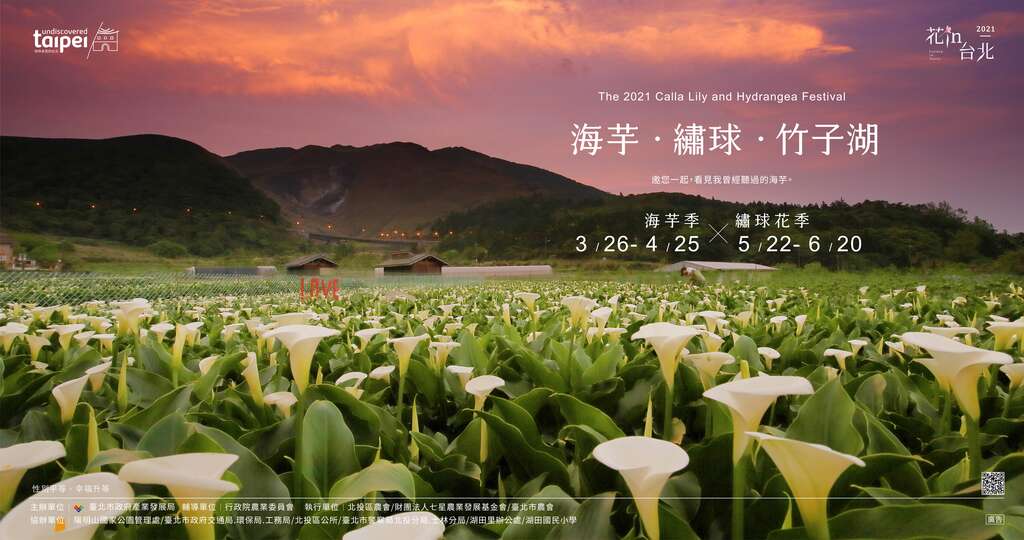 2021竹子湖海芋季